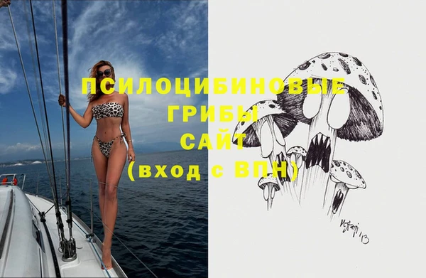 COCAINE Богородицк